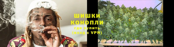 apvp Белокуриха