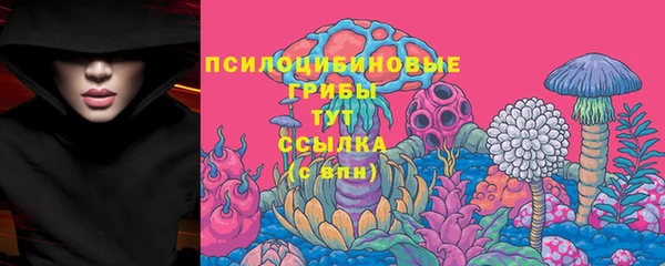 apvp Белокуриха