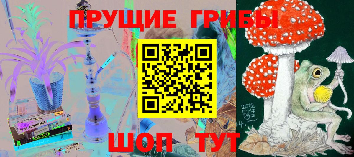 Галлюциногенные грибы GOLDEN TEACHER  Вход с VPN  Дагестанские Огни  Галлюциногенные грибы прущие грибы 