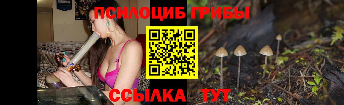 Псилоцибиновые грибы GOLDEN TEACHER Дагестанские Огни
